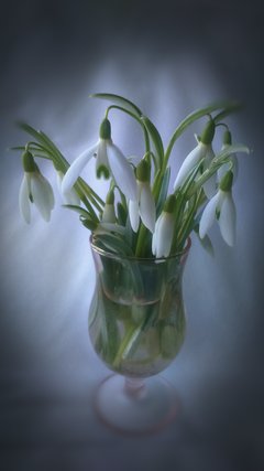 20170301 :-)