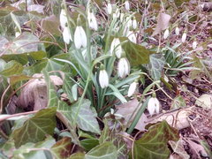 IMG_20170301_154253.jpg