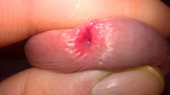 WP_20170303_09_16_05_Pro_LI[1].jpg