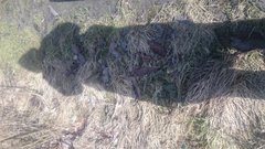 DSC_1986.JPG