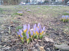 IMG_20170305_101911.jpg