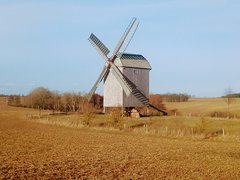 IMG_20170303_154240.jpg