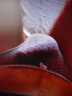IMG_20170310_102045.jpg