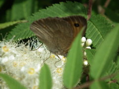 DSCF9818.JPG