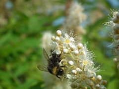 DSCF9820.JPG