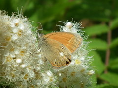 DSCF9830.JPG