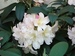 DSCF9058.JPG
