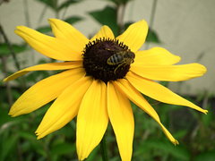 DSCF9215.JPG
