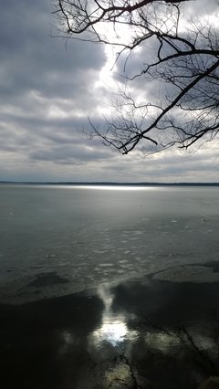 WP_20170313_002.jpg