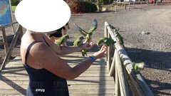 20170311.jpg