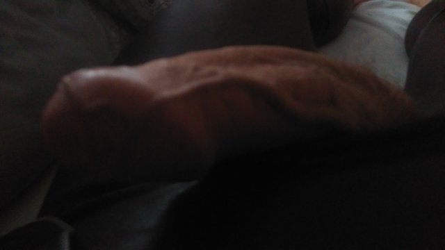 bgees