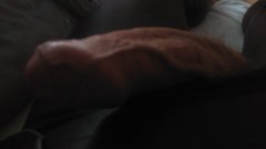 IMAG0668.jpg