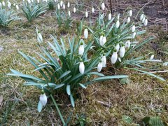 20170308_064032[1].jpg