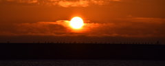 DSC_0014.JPG