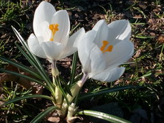 IMG_20170324_154947.jpg