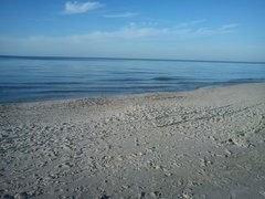 DSC01340_2[1].JPG