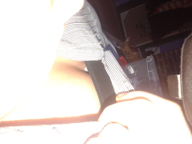 basstion9