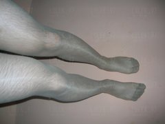 DSCN6554.JPG