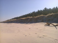 Zdjęcie0038.jpg