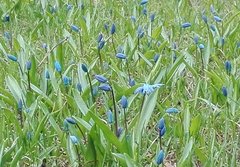 IMG_20170329_141123.jpg
