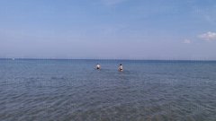 20170401_153641.jpg