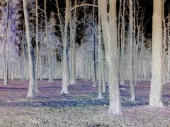 20170401_173256.jpg