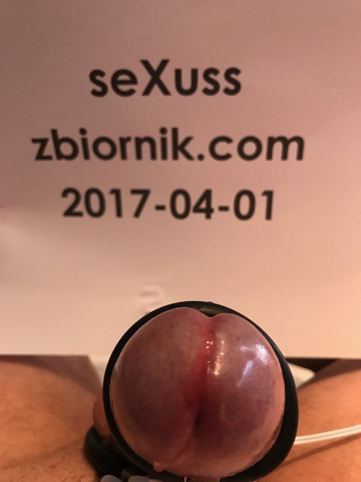 IMG_2277.jpg - seXuss