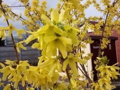 IMG_20170402_141824.jpg