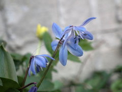 DSCF0779.JPG