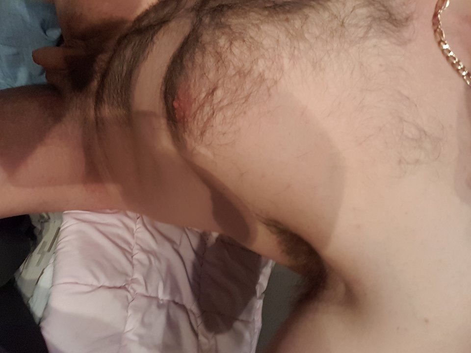 1491150600458-950168752.jpg - Nawrockipolor44