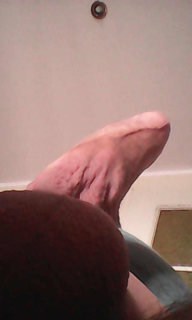 pannikt28
