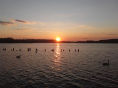 20160502_195335.jpg