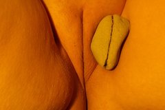 DSCF0811zba.jpg