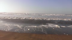 WP_20130129_067.jpg