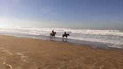 WP_20130128_058.jpg