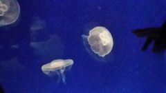 20161120_144827.jpg