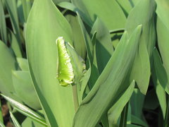 IMG_7646.JPG