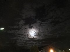 IMG_20170410_213002.jpg