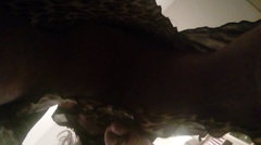 20170412_092551.jpg