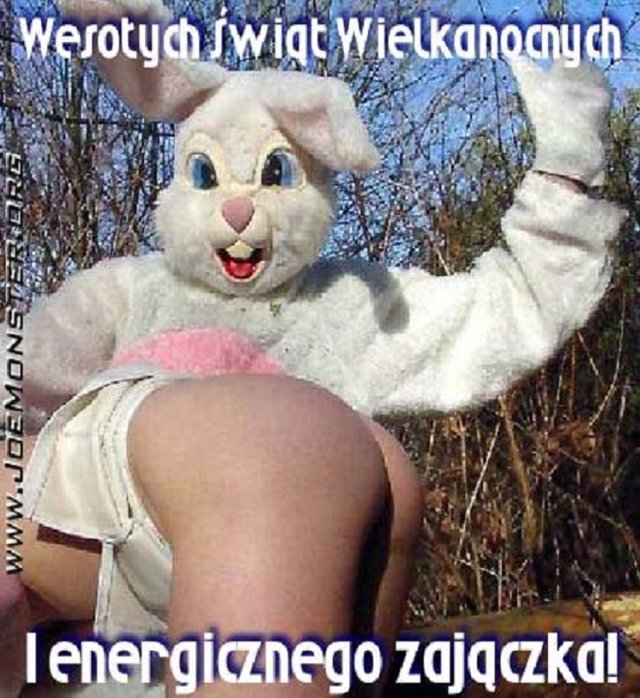 sparowani2321