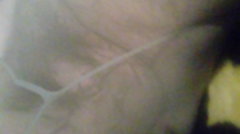 20170413_210730.jpg