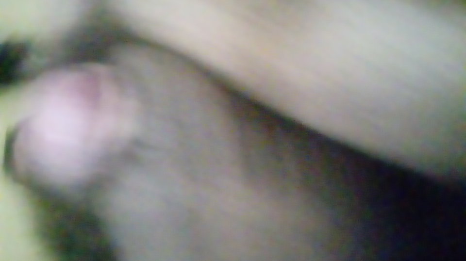 20170413_102836.jpg - Kamilia