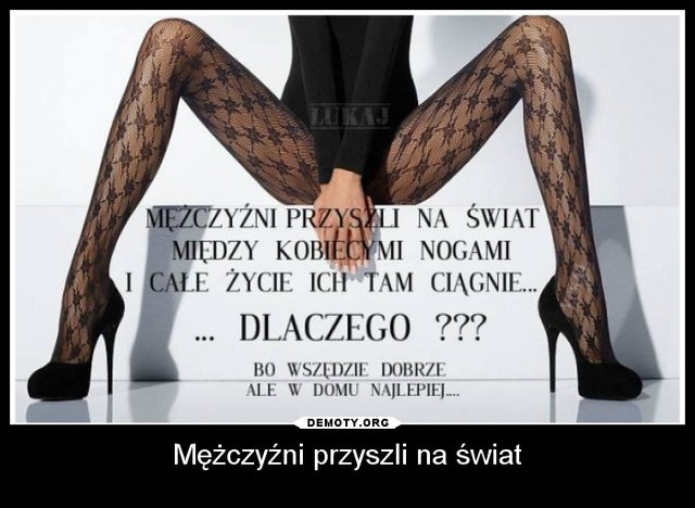 mezczyzni_przyszli_na_swiat_2015-03-04_04-17-43.jpg - elik_stw