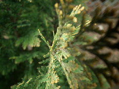 DSCF0942.JPG