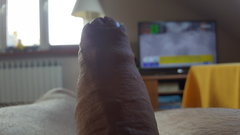 20170419_090120.jpg