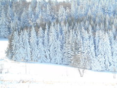 DSC00268.JPG