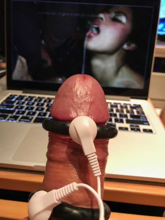 seXuss