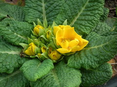 DSCF0860.JPG
