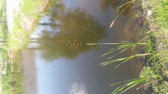 20160523_164656.jpg