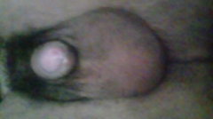 20170421_082713.jpg